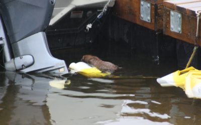 Sunday October 6, 2013