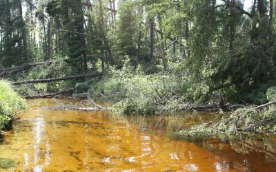 Saturday July 9, 2011