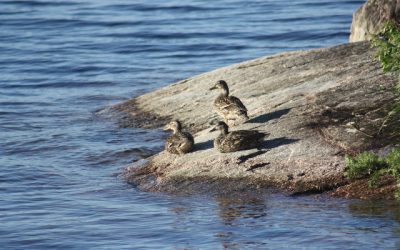 Tuesday July 12, 2011