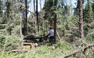 Monday July 11, 2011