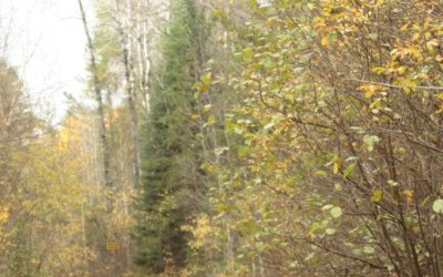 Saturday October 19, 2013