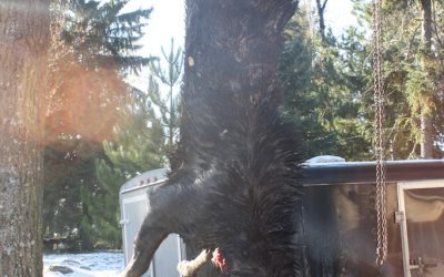 Tuesday October 22, 2013