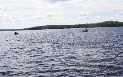 Friday July 15, 2011