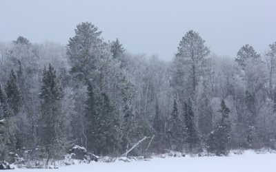 Saturday January 11, 2013