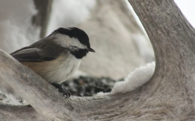 Friday January 17, 2014