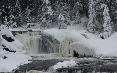 Tuesday January 21, 2014