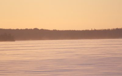 Wednesday January 22, 2014