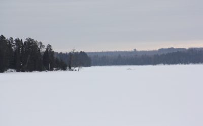 Monday February 10, 2014