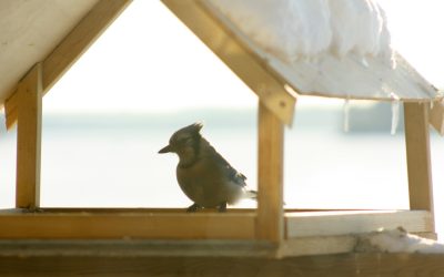 Tuesday February 11, 2014