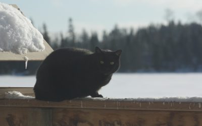 Wednesday February 12, 2014