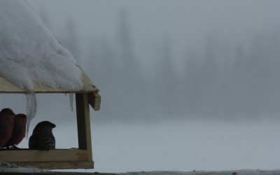 Thursday February 13, 2014