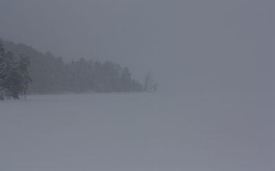 Saturday February 15, 2014