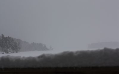 Friday February 21, 2014