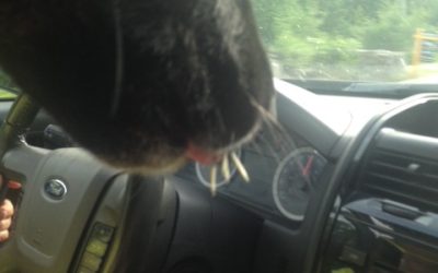 Saturday July 18, 2015