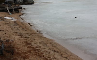 Thursday April 24, 2014