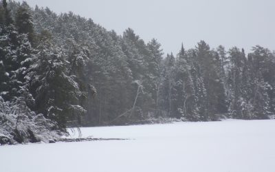 Friday April 25, 2014