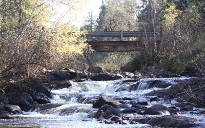 Wednesday October 12, 2011