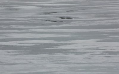 Wednesday April 30, 2014