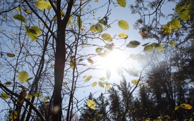 Tuesday October 11, 2011