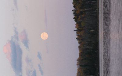 Friday October 14, 2011