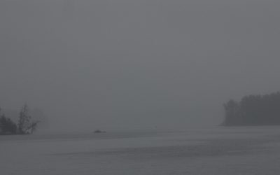 Tuesday May 20, 2014