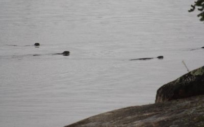 Tuesday October 18, 2011