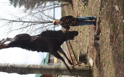 Thursday October 20, 2011