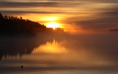 Tuesday October 25, 2011