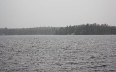 Friday October 28, 2011