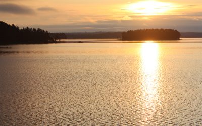 Tuesday November 8, 2011