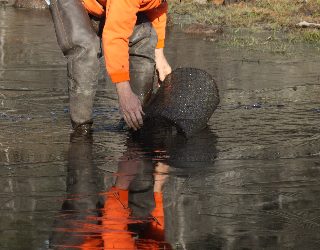 Thursday November 10, 2011