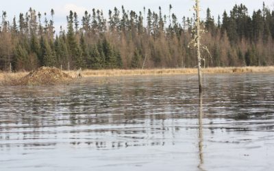 Thursday November 11, 2011