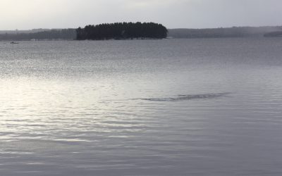 Thursday November 17, 2011