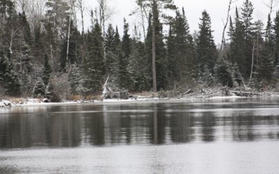 Saturday November 19, 2011