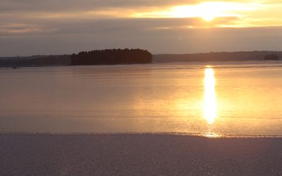 Monday November 21, 2011