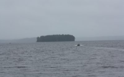 Friday June 20, 2014