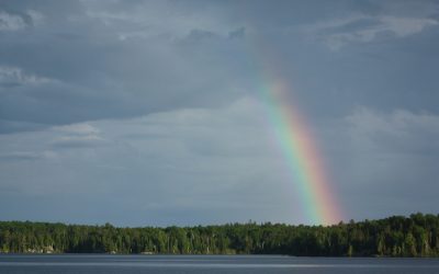 Monday June 23, 2014