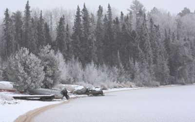 Tuesday November 22, 2011