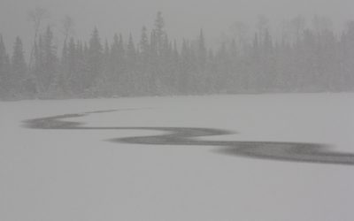 Saturday Novembe 26, 2011