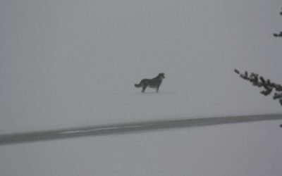 Sunday November 27, 2011