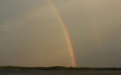 Saturday July 5, 2014