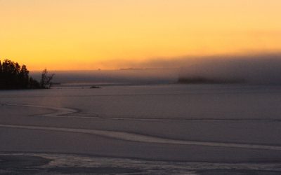 Tuesday November 29, 2011