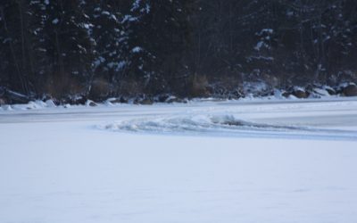 Thursday December 1, 2011