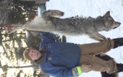 Monday December 12, 2011