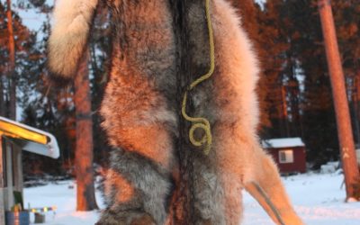 Thursday December 22, 2011