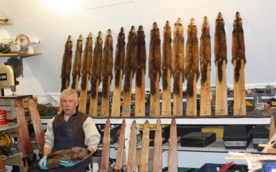 Friday December 23, 2011