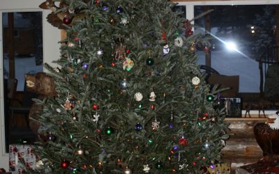 Sunday December 25, 2011