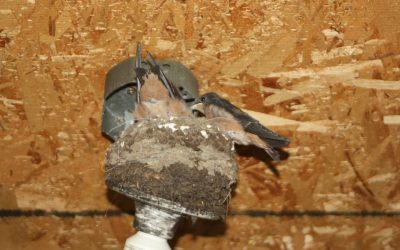 Wednesday July 23, 2014