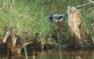 Tuesday July 22, 2014