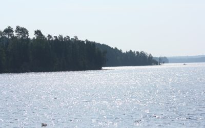 Thursday August 7, 2014